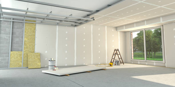 Best Insulation Inspection Services  in North Wantagh, NY